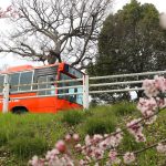 春に行ける郊外電車沿線の映えスポット